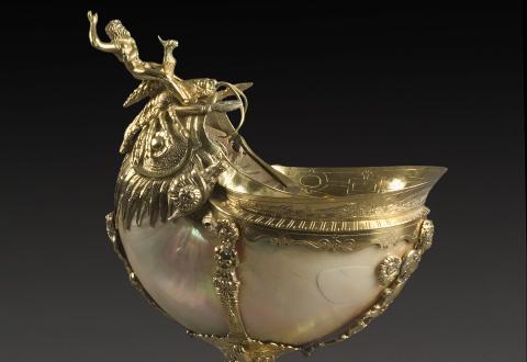 Nautilus cup